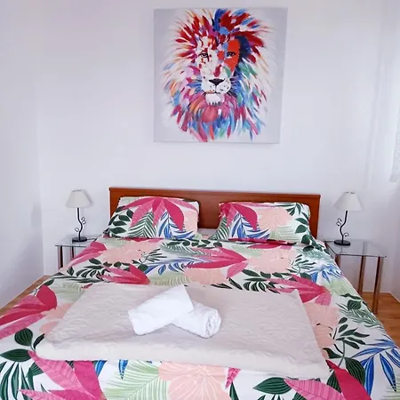 Apartment Lion 2